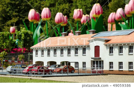 Huge tulips behind miniature house 49059386