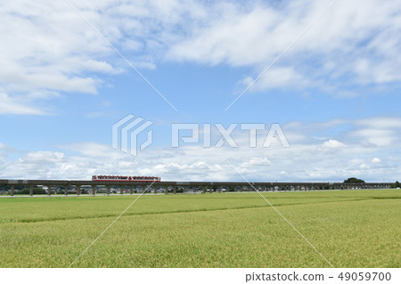 鄉村景觀 49059700