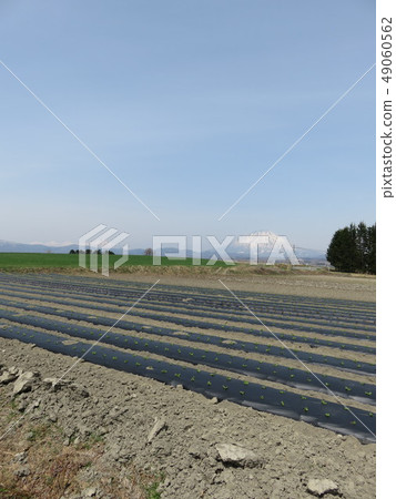 田野(北海道) 田野(北海道) 49060562