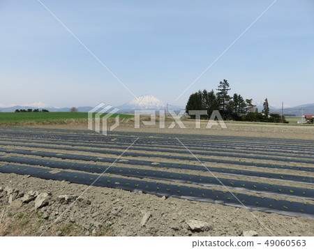 田野（北海道） 49060563