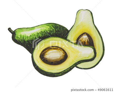 Avocado painting.Painted with watercolor. Avocado painting.Painted with watercolor. 49061611