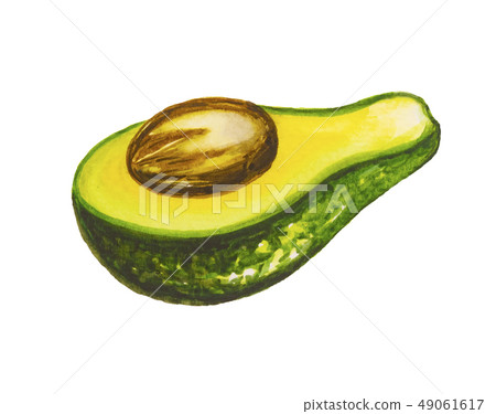 Avocado painting.Painted with watercolor. Avocado painting.Painted with watercolor. 49061617
