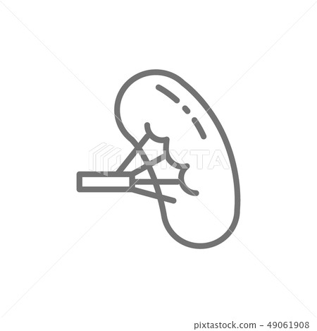 Spleen, human organ line icon. 49061908