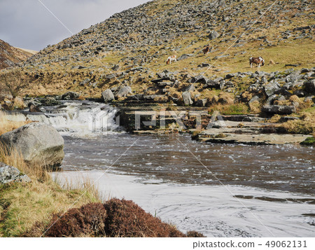 River Tavy cascading over rocks through the Tavy Cleave, Dartmoor National Park, Devon, UK River Tavy cascading over rocks through the Tavy Cleave, Dartmoor National Park, Devon, UK 49062131