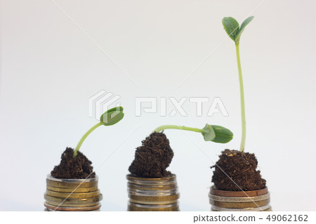Golden coins in soil ground with young plant. Money growth increase concept. 49062162