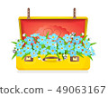 Forget-me-not flower Blue tender flowers 49063167