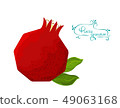 Pomegranate,malogranatum Punica granatum Drawing c 49063168