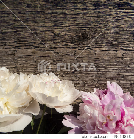 Peonies flowers  on a wooden background 49063838