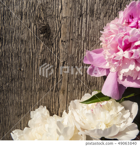Peonies flowers on a wooden background Peonies flowers on a wooden background 49063840