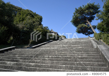 伏見Momyama ringle 伏見Momyama ringle 49064575