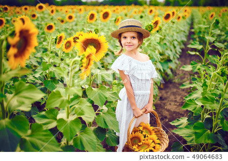 little girl in a white dress, a straw hat with a basket full of sunflowers smiling at the camera in 49064683