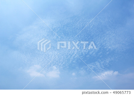 天堂 天堂 49065773