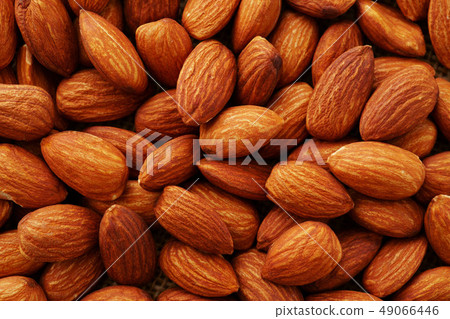 Almond 49066446