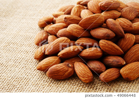 Almond 49066448
