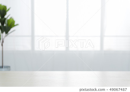 A simple background based on indoor flowers and plants A simple background based on indoor flowers and plants 49067487