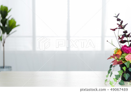 A simple background based on indoor flowers and plants 49067489