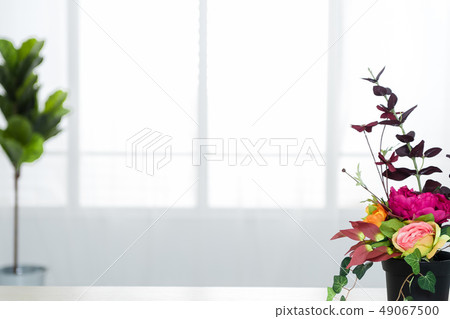 A simple background based on indoor flowers and plants A simple background based on indoor flowers and plants 49067500