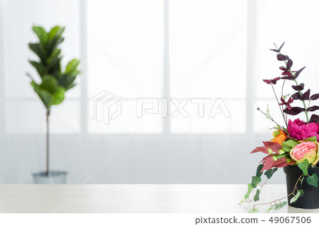 基於室內花卉和植物的簡單背景 基於室內花卉和植物的簡單背景 49067506