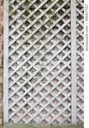 Fence 49067507