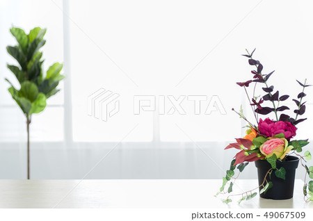 基於室內花卉和植物的簡單背景 基於室內花卉和植物的簡單背景 49067509