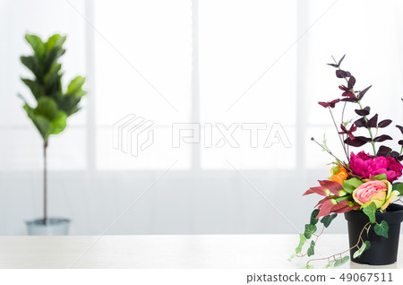 基於室內花卉和植物的簡單背景 基於室內花卉和植物的簡單背景 49067511