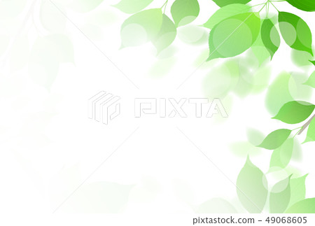 新的綠色葉子綠色背景 新的綠色葉子綠色背景 49068605