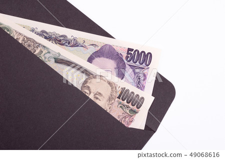 日元 日元 49068616