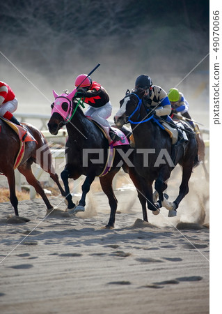 Horse race Horse race 49070066