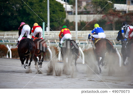 Horse race 49070073