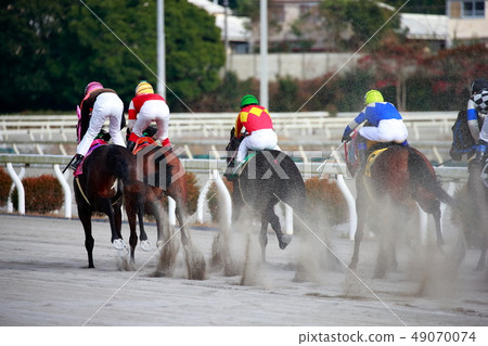 Horse race 49070074