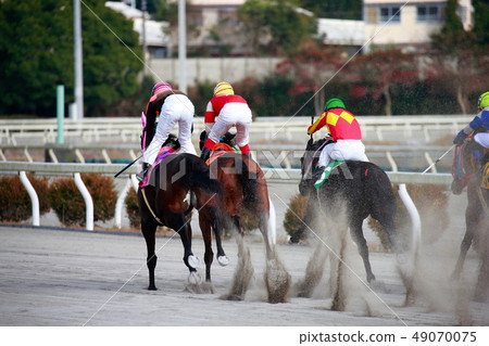 Horse race Horse race 49070075