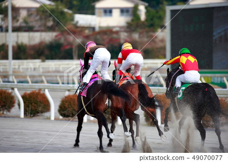 Horse race Horse race 49070077