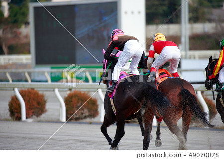 Horse race 49070078