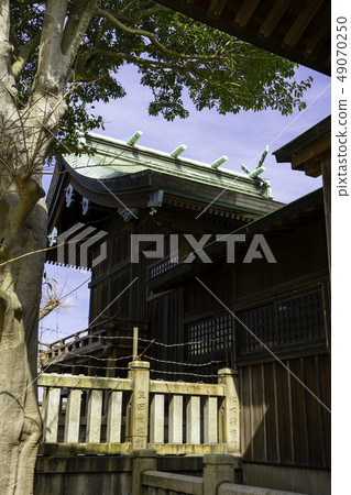 Yamaguchi Shimonoseki Daisei Shrine Honden Yamaguchi Shimonoseki Daisei Shrine Honden 49070250