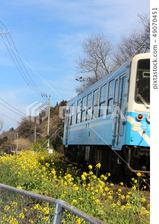 Rape field and train of Fenghai Rape field and train of Fenghai 49070451