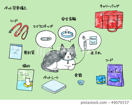 Pet disaster takeaway toy watercolor 49070537