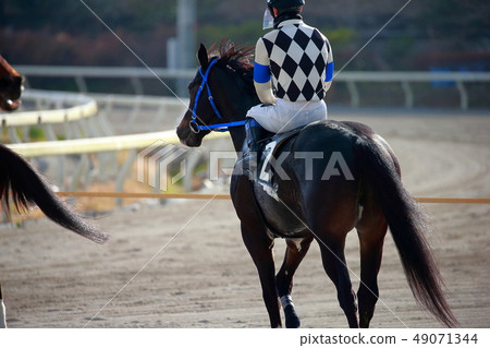 Horse race Horse race 49071344