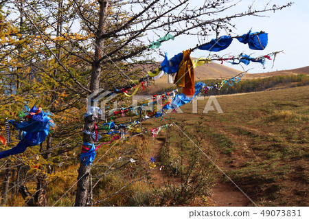 Colorful ribbons on the tree , Lake Baikal, Russia Colorful ribbons on the tree , Lake Baikal, Russia 49073831