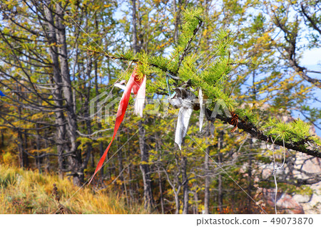 Colorful ribbons on the tree , Lake Baikal, Russia 49073870