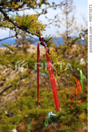 Colorful ribbons on the tree , Lake Baikal, Russia 49073871