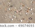 Seshells on sand on the beach, Krabi, Thailand.  49074693