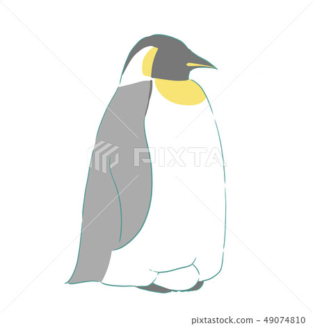 滲透企鵝 滲透企鵝 49074810