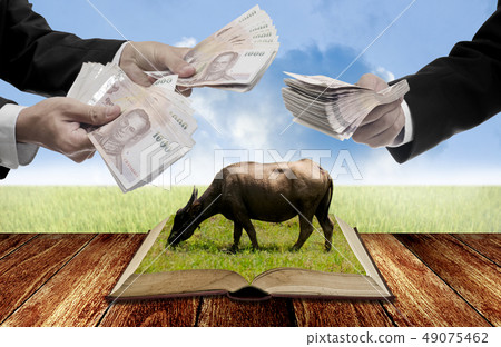Businessman auction livestock with open book, 49075462
