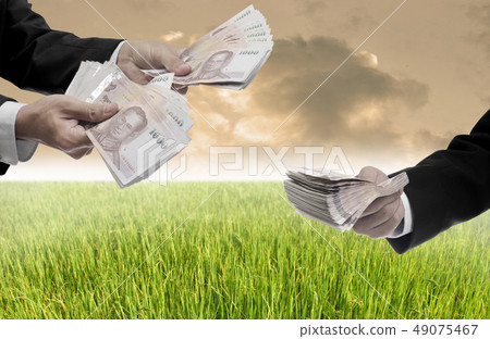 Invest in rice farm concept Invest in rice farm concept 49075467