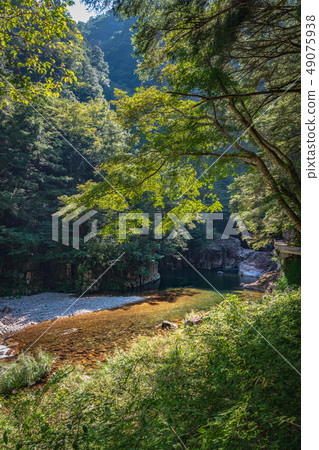 Serena of the special scenic Katsudan Gorge 49075938