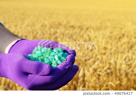 Farmer hold fertilizers in his hands 49076427