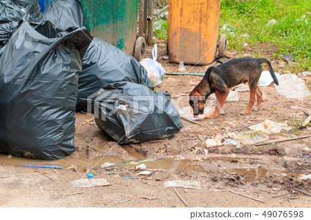 Pile garbage black bag plastic roadside  49076598