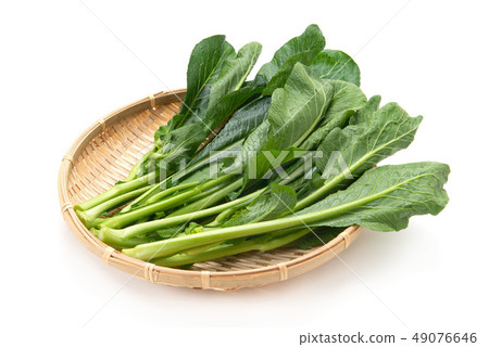 莖部分 莖部分 49076646
