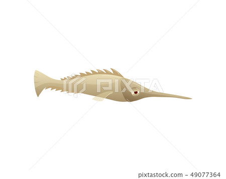 Cartoon Swordfish On White Background Water Life Stock Illustration 49077364 Pixta They're believed to swim as deep as 2,100 feet (650 meters). pixta