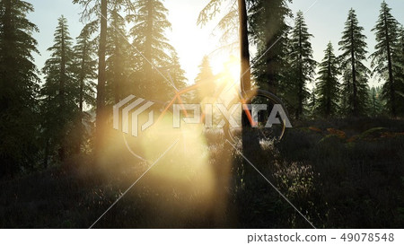bicycle in mountain forest at sunset 49078548